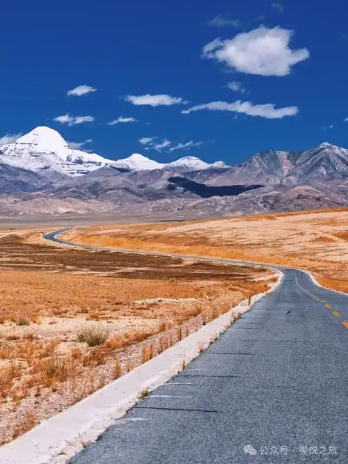 19机器审核成功 - Image 2