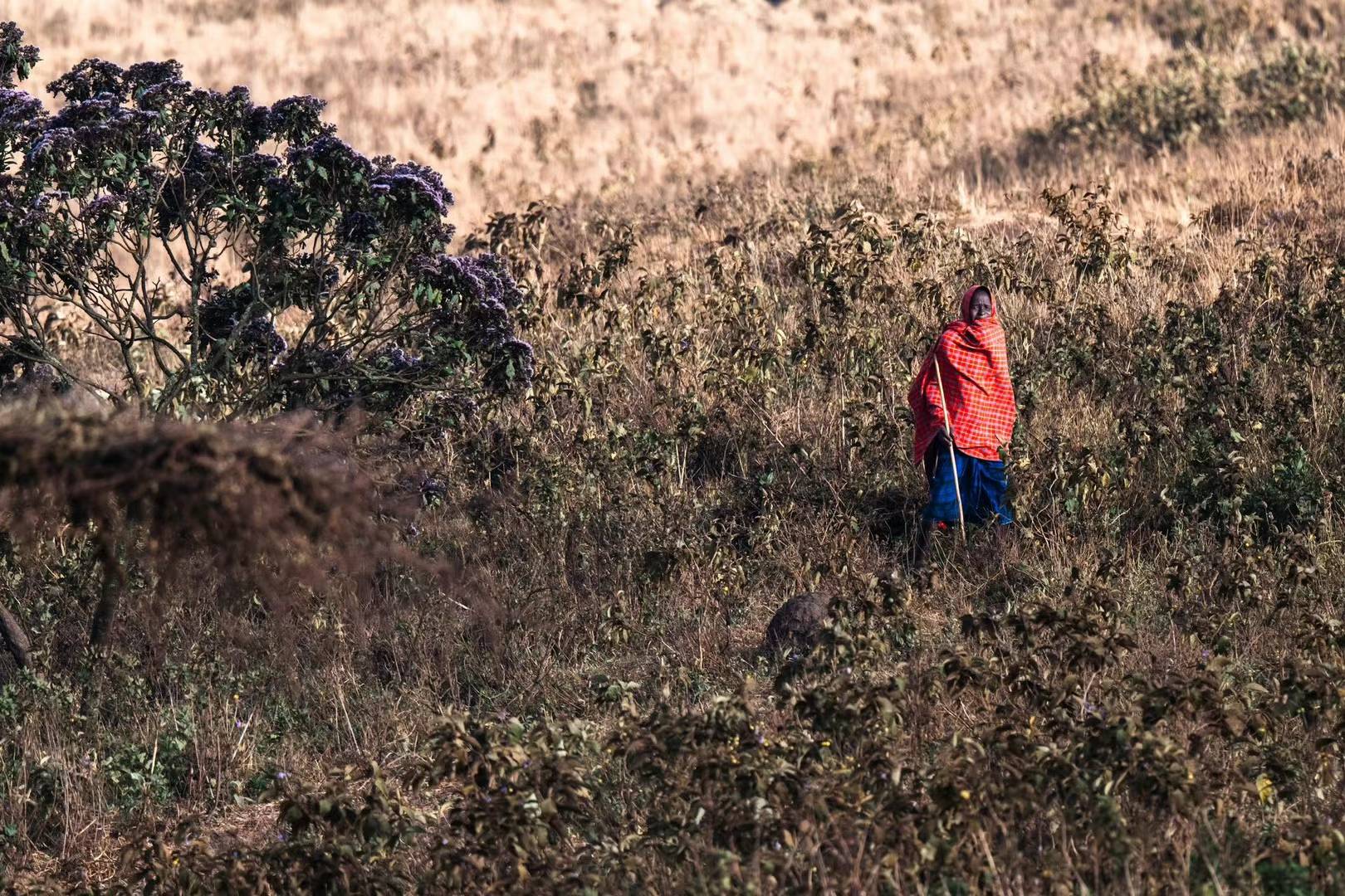 坦桑尼亚动物迁徙5天之旅 - 2