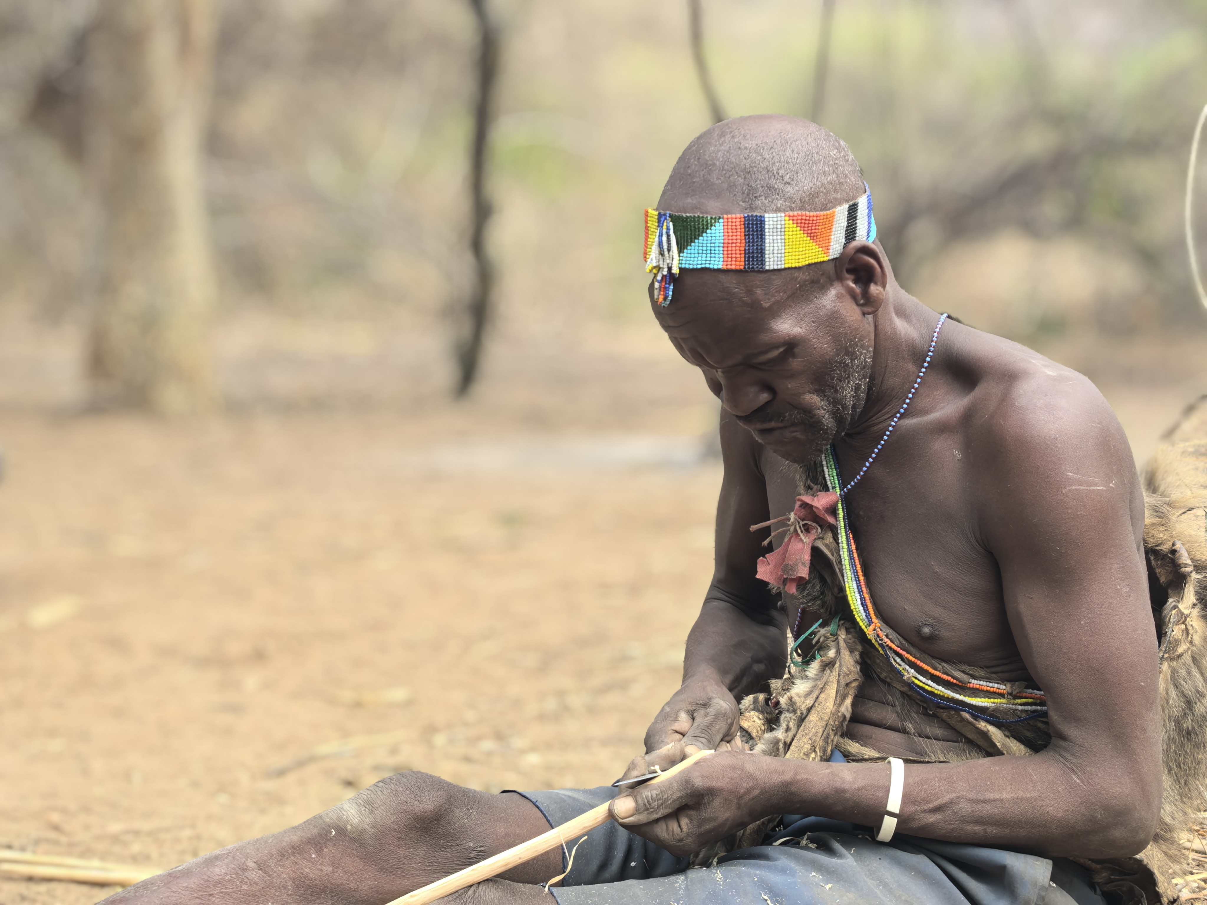 坦桑尼亚动物迁徙5天之旅 - 3
